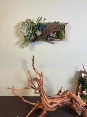 画像1: フェイク多肉植物寄せ植え風壁飾り (1)