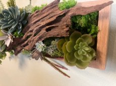 画像6: フェイク多肉植物寄せ植え風壁飾り (6)