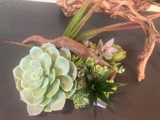 画像2: フェイク多肉植物寄せ植え風アレンジ (2)