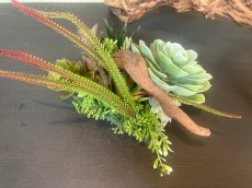 画像4: フェイク多肉植物寄せ植え風アレンジ (4)
