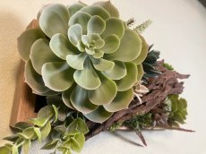 画像4: フェイク多肉植物寄せ植え風壁飾り (4)