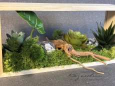 画像2: 箱庭風フェイク植物のアレンジメント (2)