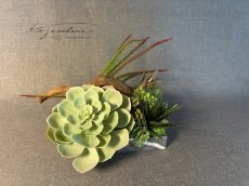 画像1: 本物そっくりの多肉植物と流木のアレンジメント (1)