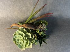 画像3: 本物そっくりの多肉植物と流木のアレンジメント (3)